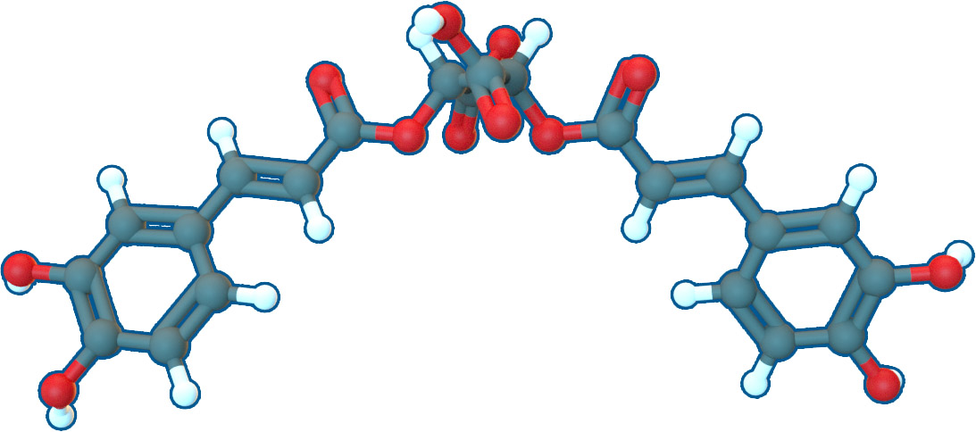 Image of Cichoric acid | C22H18O12 | Supreme Pharmatech